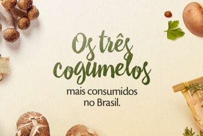 Os três cogumelos mais consumidos no Brasil